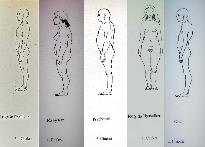 Körpertypen nach Wilhelm Reich