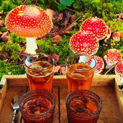 LiebesTrank - Fliegenpilz trifft Kakao